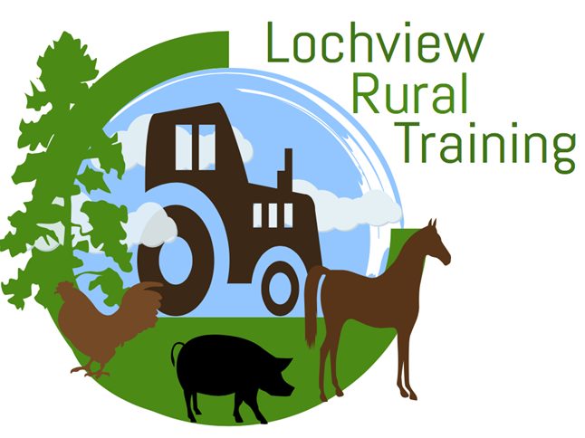 Lochview Logo